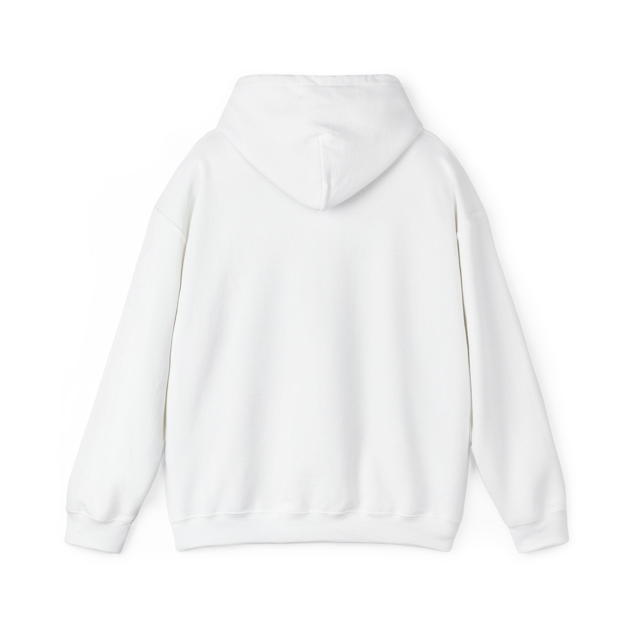 RVAU Supporter Hoodie